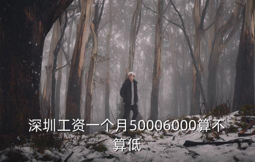 深圳一個月多少算高收入,深圳工資一個月5000