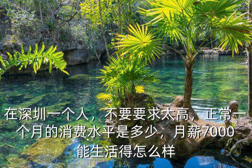 在深圳一個人，不要要求太高，正常一個月的消費水平是多少，月薪7000能生活得怎么樣