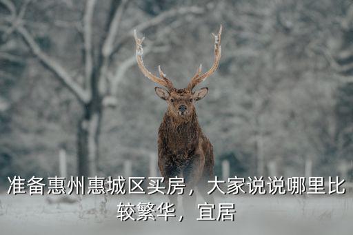 準備惠州惠城區買房，大家說說哪里比較繁華，宜居