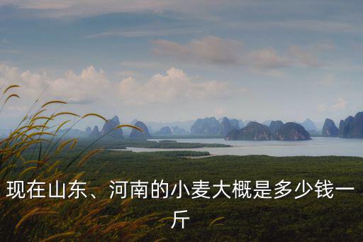 現(xiàn)在山東、河南的小麥大概是多少錢一斤