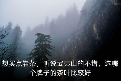揭陽武夷山巖茶怎么選擇,武夷山巖茶怎么樣