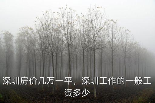 深圳房價幾萬一平，深圳工作的一般工資多少