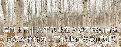 珠海士官轉(zhuǎn)業(yè)安置怎么樣,士官轉(zhuǎn)業(yè)安置選崗選哪個呢