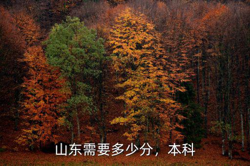 山東需要多少分，本科