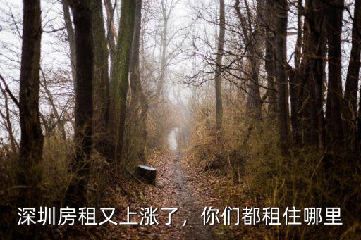 深圳房租又上漲了，你們都租住哪里