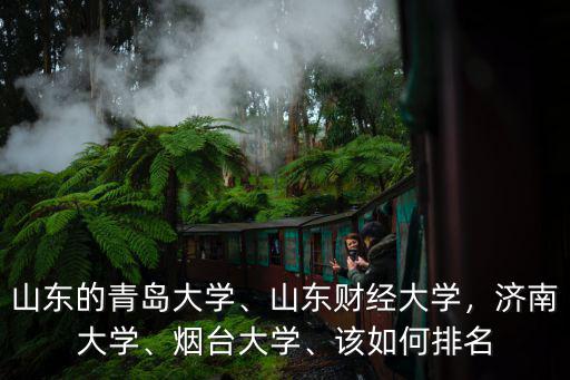 山東的青島大學、山東財經大學，濟南大學、煙臺大學、該如何排名