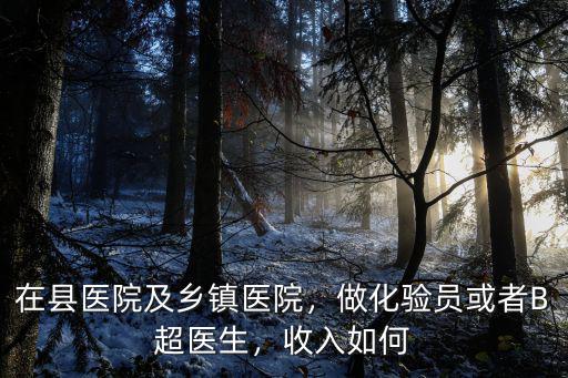 深圳私立醫(yī)院b超醫(yī)生工資多少錢啊,做化驗員或者B超醫(yī)生