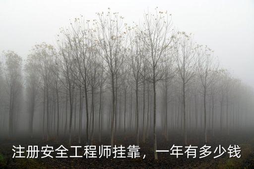 注冊安全工程師淄博給多少錢,注冊安全工程師掛靠