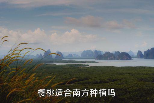 廣東哪里可以種植櫻桃,櫻桃適合南方種植嗎
