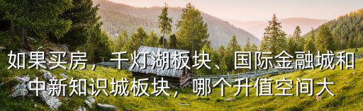 如果買房，千燈湖板塊、國際金融城和中新知識(shí)城板塊，哪個(gè)升值空間大