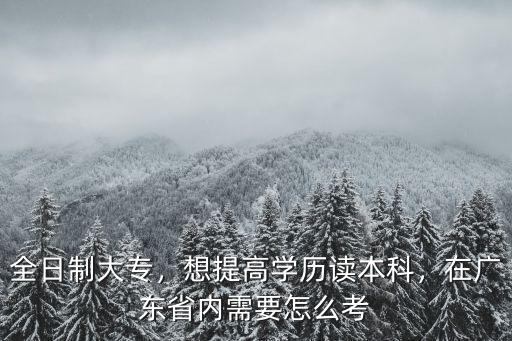 廣東?？拼笠辉趺磳W習本科內容,想提高學歷讀本科