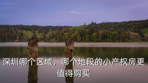 深圳哪里的小產(chǎn)權(quán)比較好,深圳哪個(gè)區(qū)域