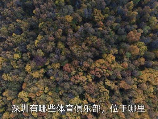 深圳有多少個棒球俱樂部,深圳沖浪俱樂部有哪些