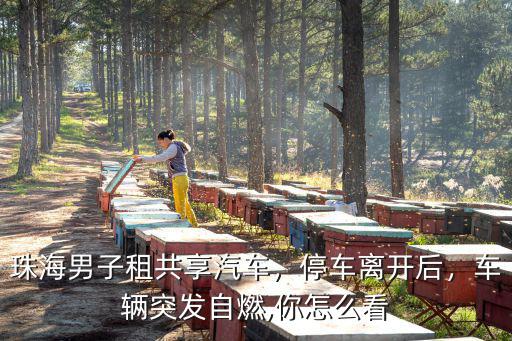 珠海男子租共享汽車，停車離開后，車輛突發(fā)自燃,你怎么看