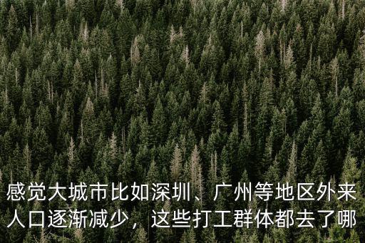 感覺大城市比如深圳、廣州等地區(qū)外來人口逐漸減少，這些打工群體都去了哪