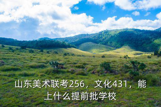 山東省美術聯考成績多少能報山師,山東美術聯考256