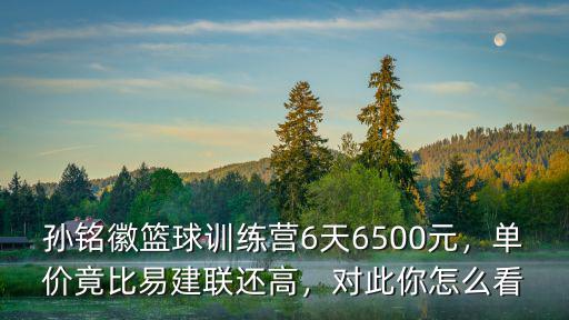 孫銘徽籃球訓練營6天6500元，單價竟比易建聯還高，對此你怎么看