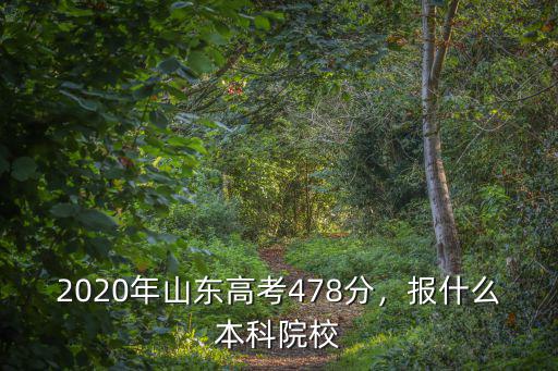 2020年山東高考央美分多少,2020年山東高考478分