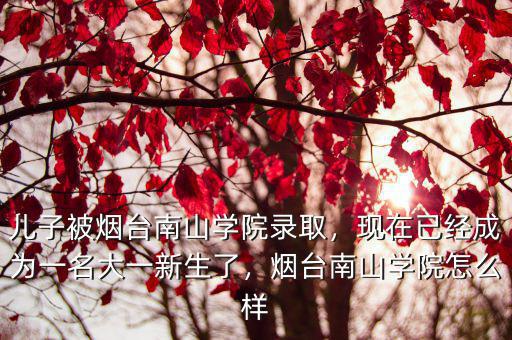 煙臺南山學院紡織專業學費多少,煙臺南山學院怎么樣