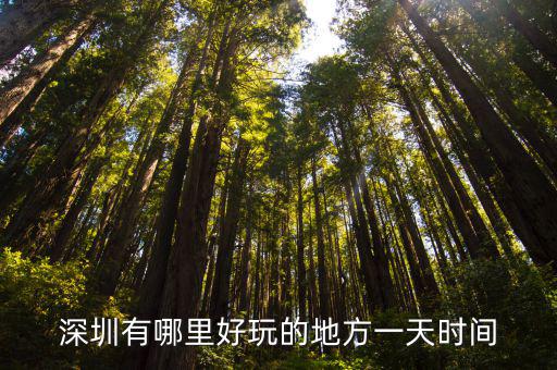 深圳的早晨哪里好玩,深圳有哪里好玩的地方