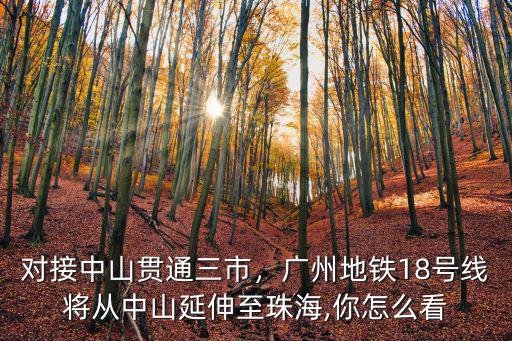 對接中山貫通三市，廣州地鐵18號線將從中山延伸至珠海,你怎么看