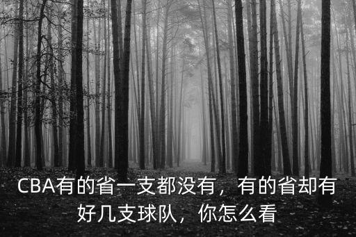 德州有多少支球隊,有的省卻有好幾支球隊