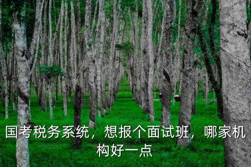 國考稅務系統，想報個面試班，哪家機構好一點