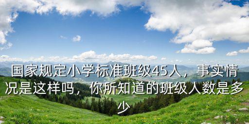 廣東小學一班國家規定多少人,國家規定小學標準班級45人