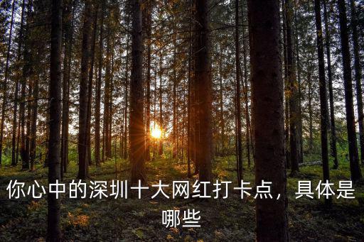 你心中的深圳十大網(wǎng)紅打卡點(diǎn)，具體是哪些
