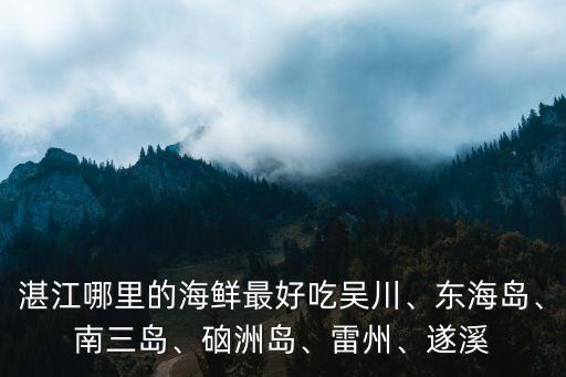 湛江東海是哪里,湛江的鋼鐵廠在哪里