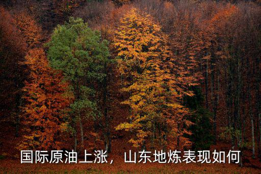 山東地煉原油多少錢,山東地煉表現如何