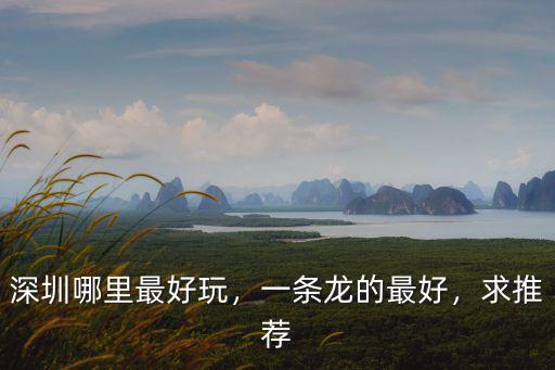 深圳哪里最好玩，一條龍的最好，求推薦