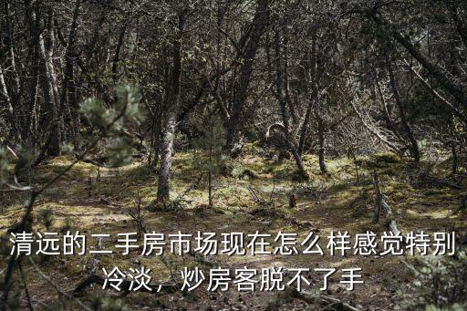 清遠(yuǎn)的二手房市場(chǎng)現(xiàn)在怎么樣感覺特別冷淡，炒房客脫不了手