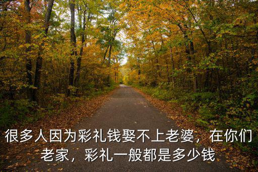 很多人因?yàn)椴识Y錢娶不上老婆，在你們老家，彩禮一般都是多少錢