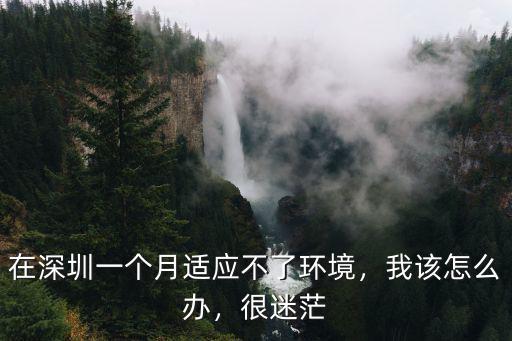 在深圳一個月適應不了環境，我該怎么辦，很迷茫