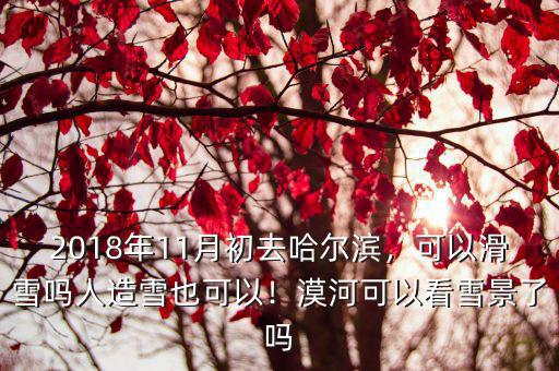 廣州哪里可以看人造雪,廣州曾經下過雪嗎