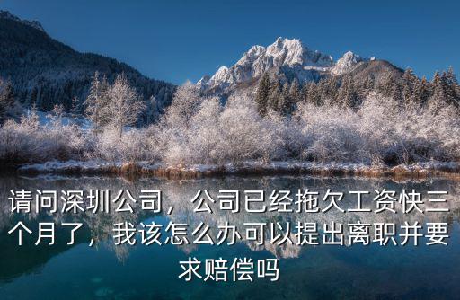 深圳企業公司拖欠工資我該怎么辦,請問深圳公司