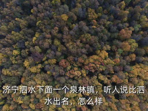 濟寧泗水下面一個泉林鎮，聽人說比泗水出名，怎么樣