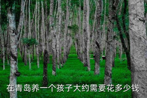 孩子在青島上學需要多少錢,在青島孩子上學需要什么