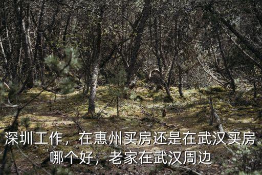 在深圳工作可以在周邊哪里買房,想在深圳周邊買套房子