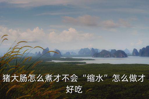 中山市豬大腸怎么做好吃,豬大腸怎么做好吃