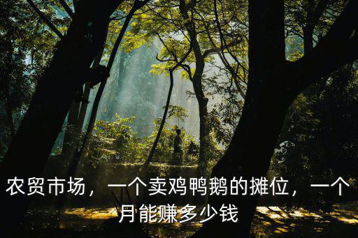農貿市場，一個賣雞鴨鵝的攤位，一個月能賺多少錢