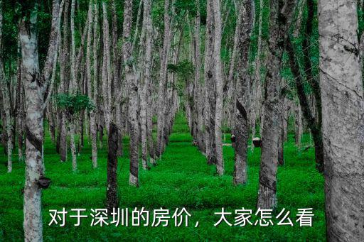 對于深圳的房價，大家怎么看