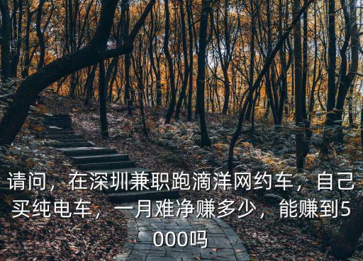 深圳全職跑滴滴月入多少錢,在深圳兼職跑滴洋網約車