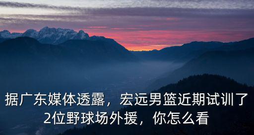 廣東男籃外援怎么了,最近廣東男籃換了兩個新外援
