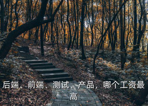 后端、前端、測試、產品，哪個工資最高