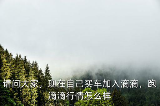 請問大家，現(xiàn)在自己買車加入滴滴，跑滴滴行情怎么樣