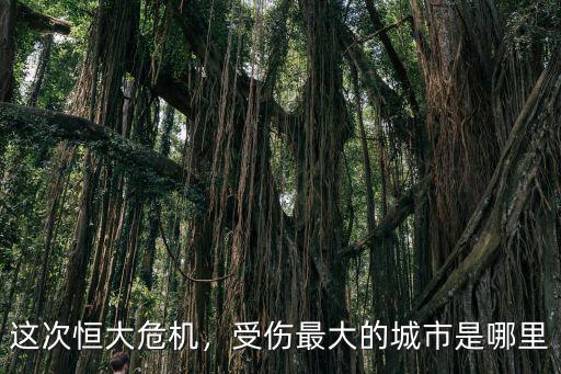 深圳國資委的錢用哪里,傳聞深圳國資委將入局法拉第