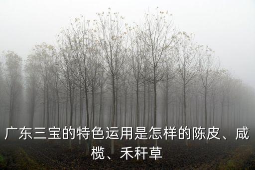 廣東三寶的特色運用是怎樣的陳皮、咸欖、禾稈草