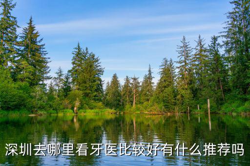 深圳神經科去哪里看比較好,深圳有什么比較好的電子廠